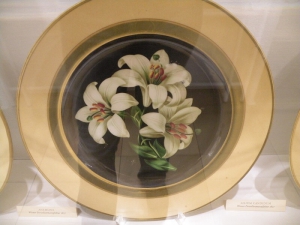 Император-садовник. Из экскурсий русского гида по Вене